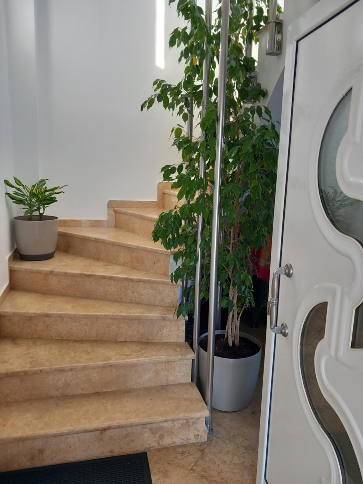 Luxury Apartment Amarynthos Zewnętrze zdjęcie