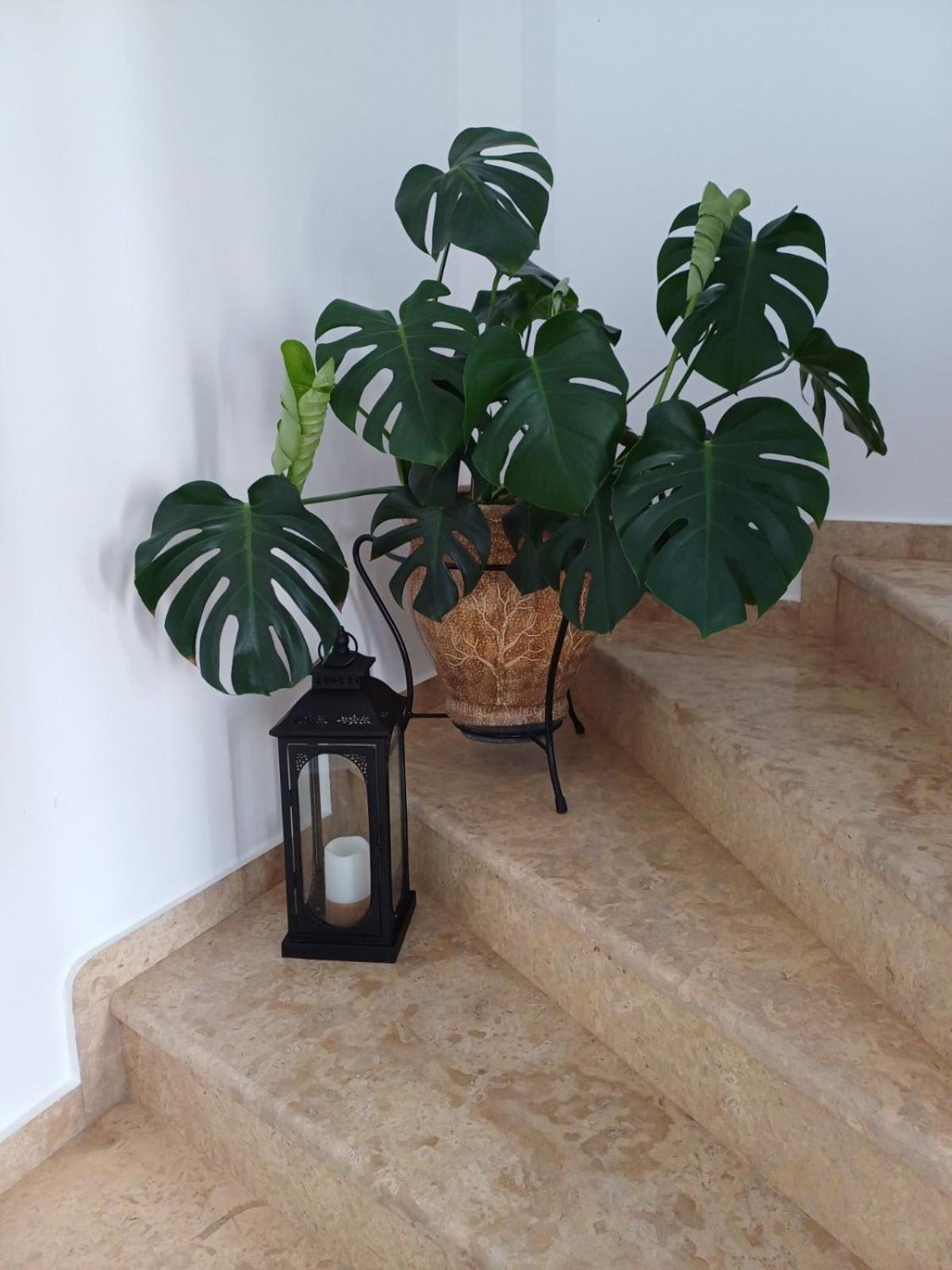 Luxury Apartment Amarynthos Zewnętrze zdjęcie