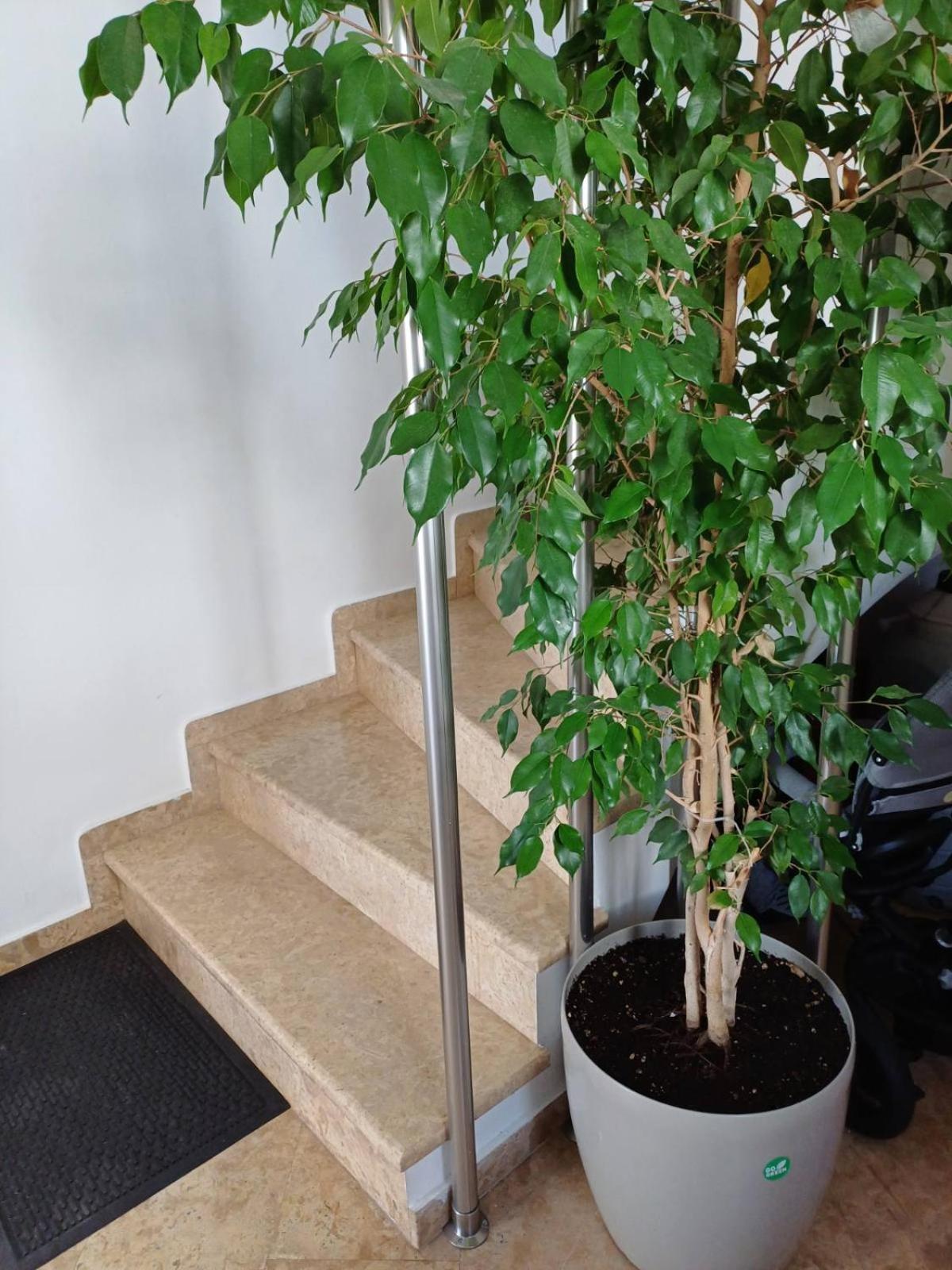 Luxury Apartment Amarynthos Zewnętrze zdjęcie